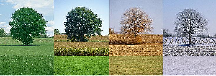 《最终幻想7：重生》关键剧情会禁用快速旅行 并限制探索