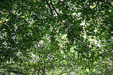 《深海搁浅》脱离抢先体验正式发售 仍没中文